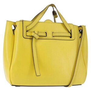 LOEWE Shoulder Bag Leather 2way Yellow Gold Auth bs29684